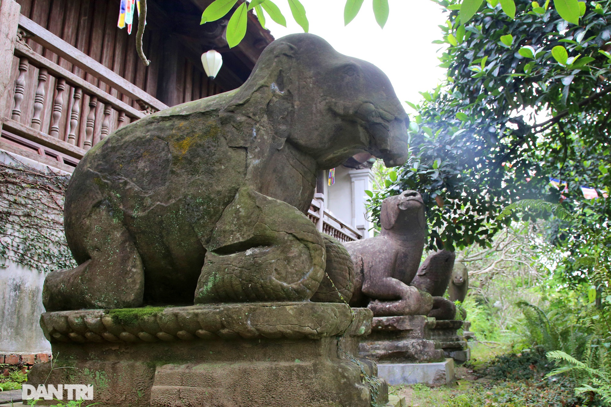 Kỳ lạ 10 linh thú đá nghìn năm tuổi canh gác chùa Phật Tích - 14