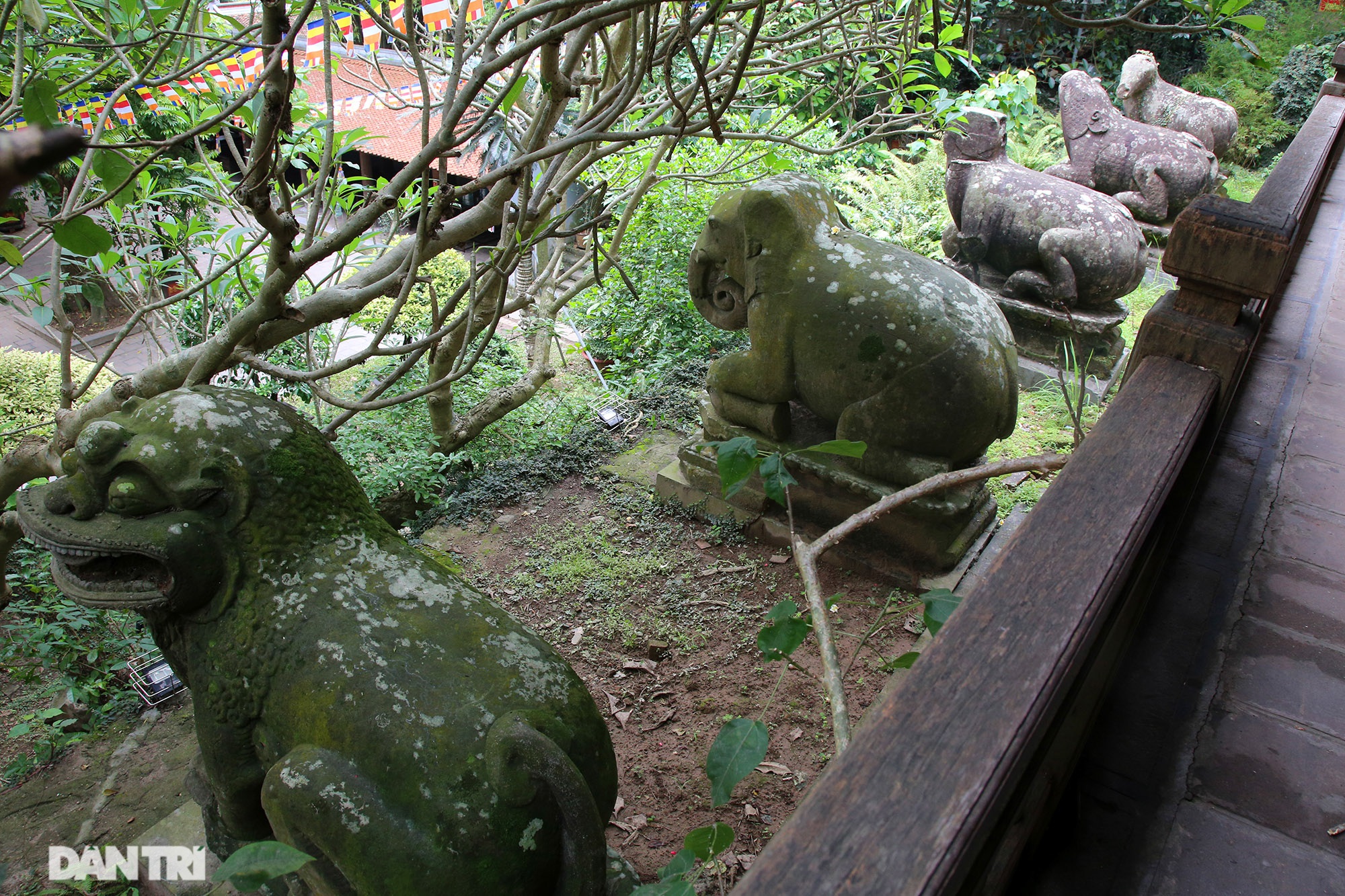 Kỳ lạ 10 linh thú đá nghìn năm tuổi canh gác chùa Phật Tích - 3