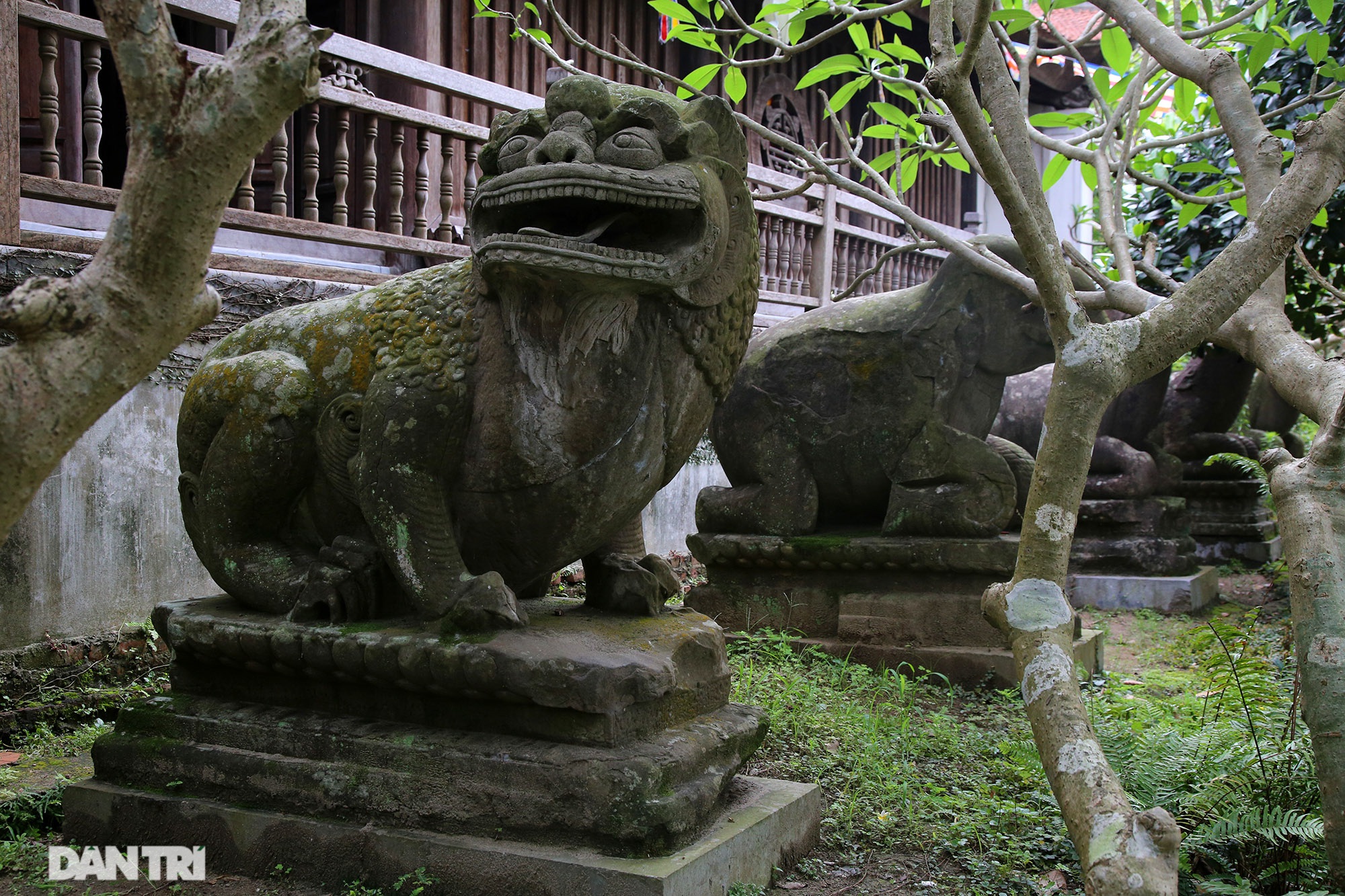 Kỳ lạ 10 linh thú đá nghìn năm tuổi canh gác chùa Phật Tích - 4