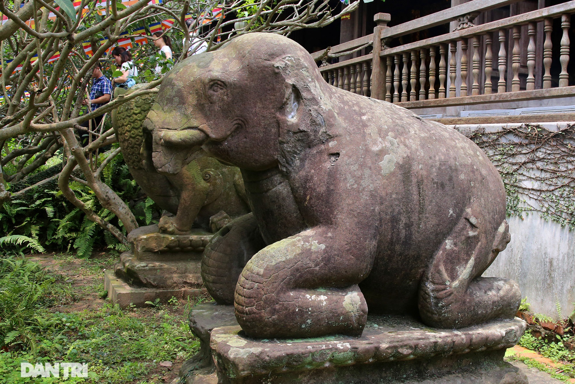 Kỳ lạ 10 linh thú đá nghìn năm tuổi canh gác chùa Phật Tích - 5