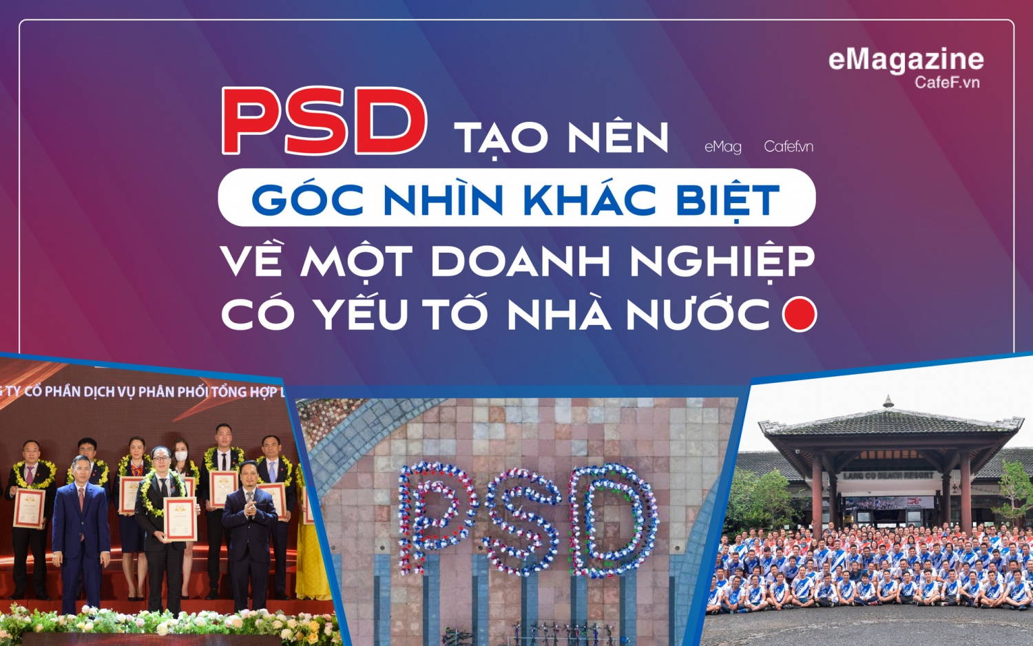 PSD tạo nên góc nhìn khác biệt về một doanh nghiệp có yếu tố nhà nước