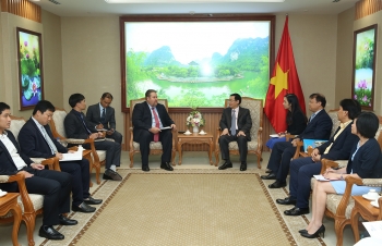 Phó Thủ tướng Vương Đình Huệ tiếp Tổng giám đốc AES