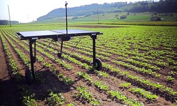 [VIDEO] Cỗ máy diệt cỏ thông minh giúp bảo vệ cây trồng
