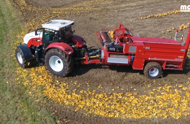 Cỗ máy giúp nhặt hạt bí trên cánh đồng khổng lồ