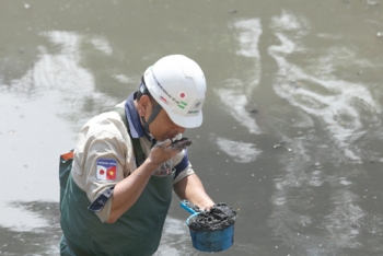 Ý kiến trái chiều việc "dùng công nghệ xử lý nước hồi sinh sông Tô Lịch"