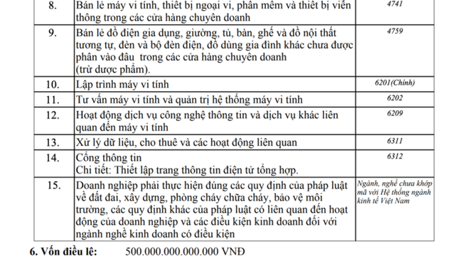 Bộ KHĐT nói gì về siêu doanh nghiệp có vốn gấp đôi Viettel, Vingroup? - 2