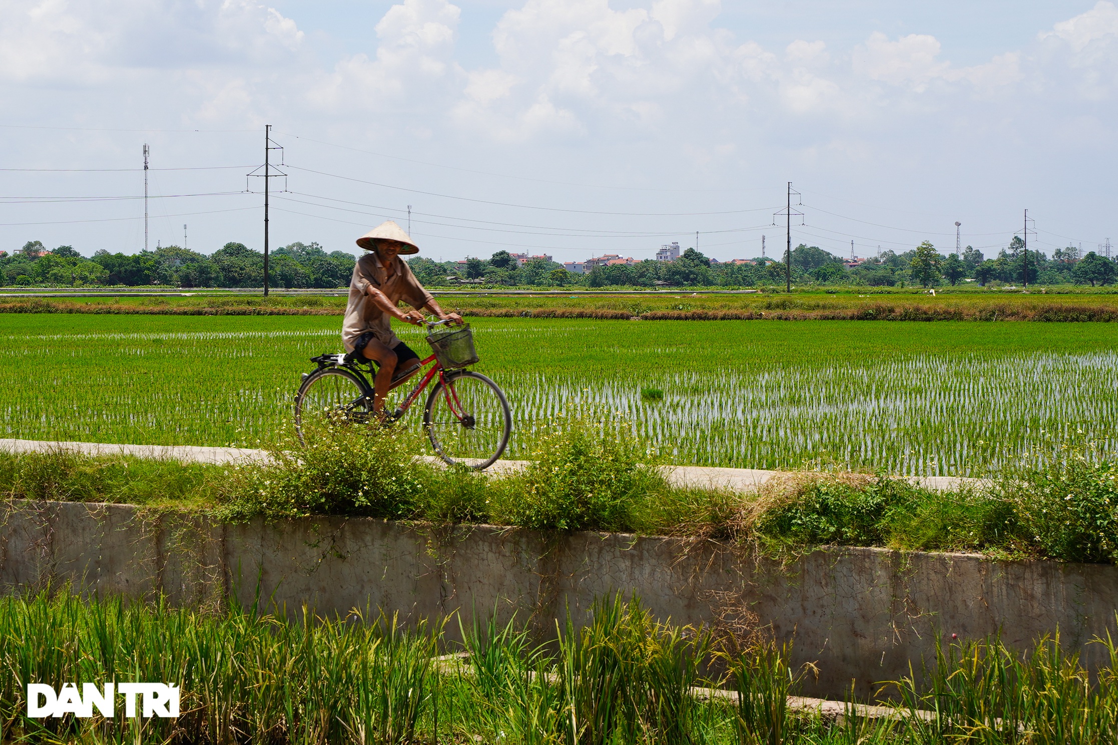 Những khu công nghiệp chỉ để trồng cỏ dại, bỏ hoang nhiều năm ở Hà Nội - 9