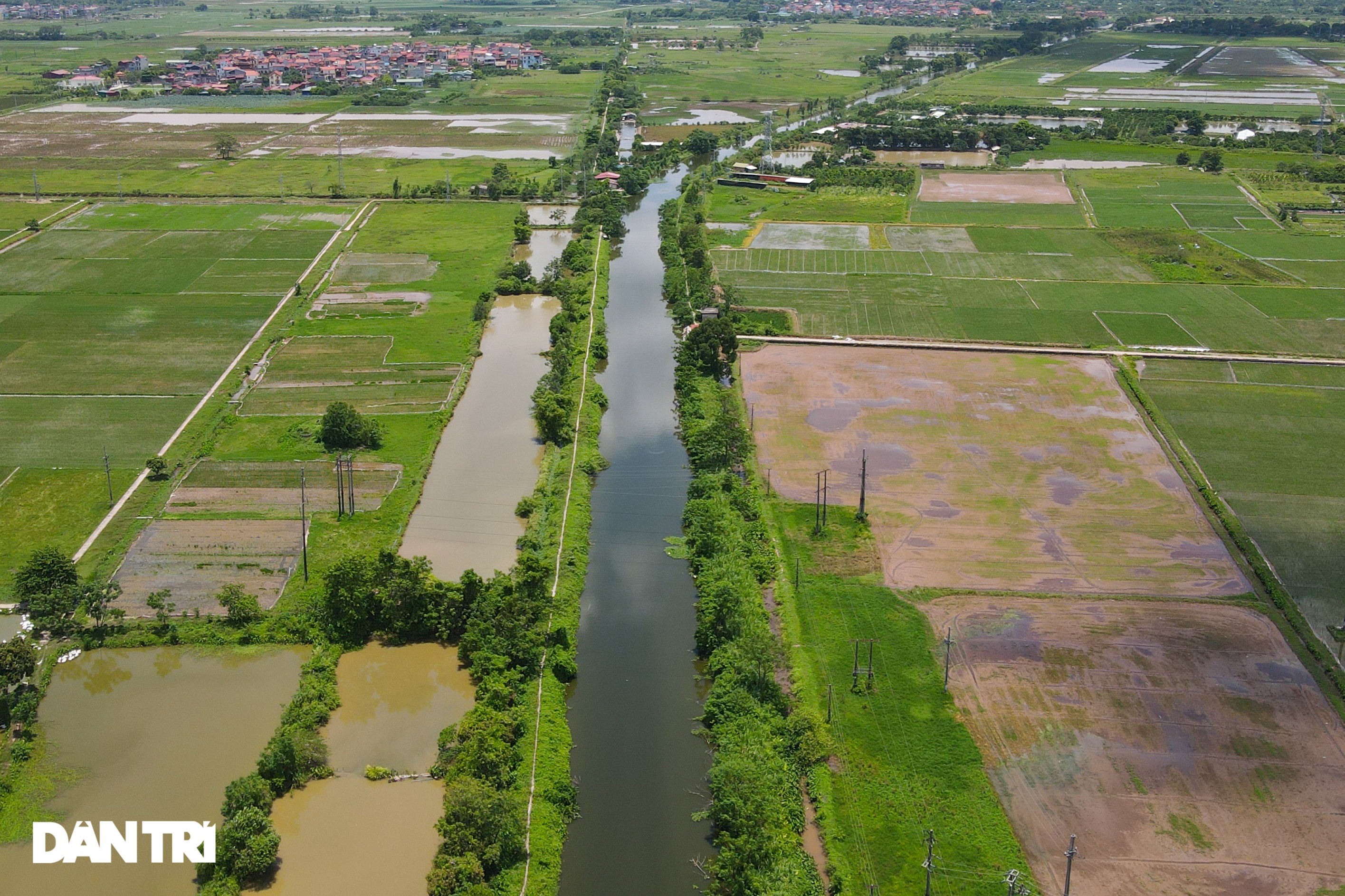 Những khu công nghiệp chỉ để trồng cỏ dại, bỏ hoang nhiều năm ở Hà Nội - 8