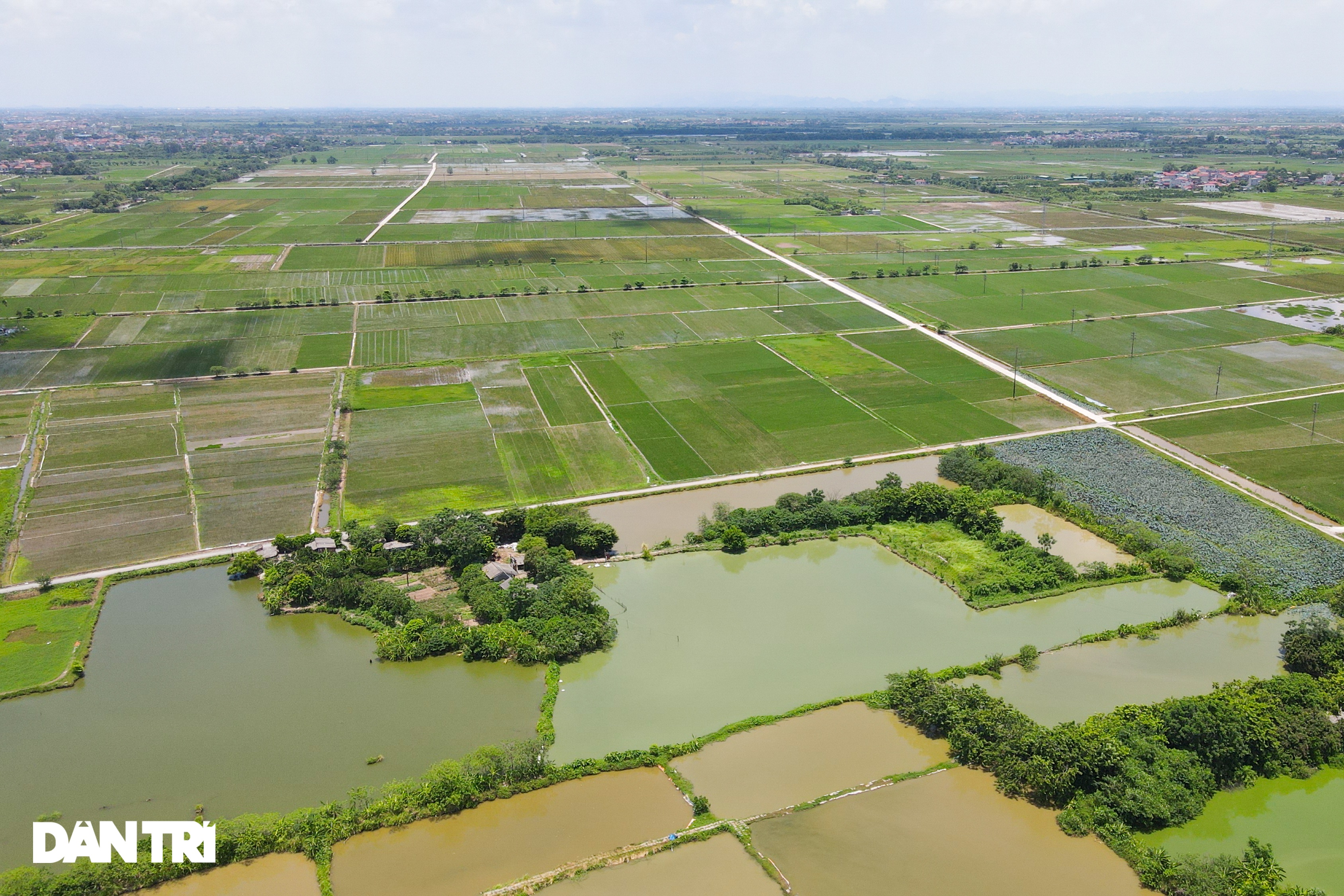 Những khu công nghiệp chỉ để trồng cỏ dại, bỏ hoang nhiều năm ở Hà Nội - 7