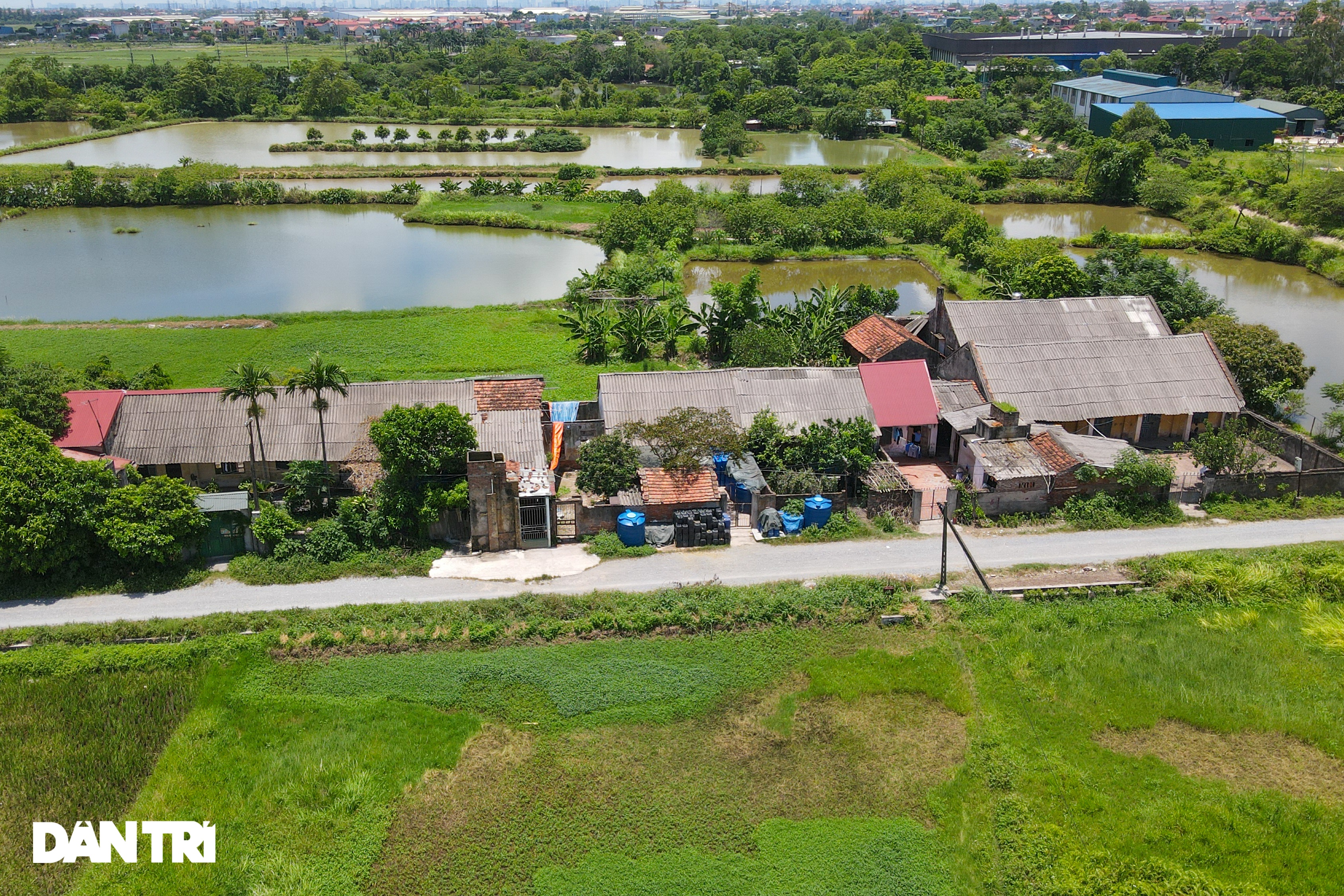 Những khu công nghiệp chỉ để trồng cỏ dại, bỏ hoang nhiều năm ở Hà Nội - 11