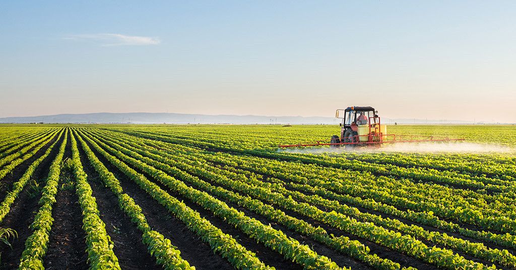 Brazil là nước đứng thứ ba thế giới về sản xuất cây đậu tương.