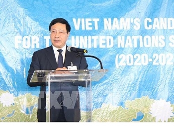 Việt Nam mong muốn đóng góp vào nỗ lực chung của cộng đồng quốc tế
