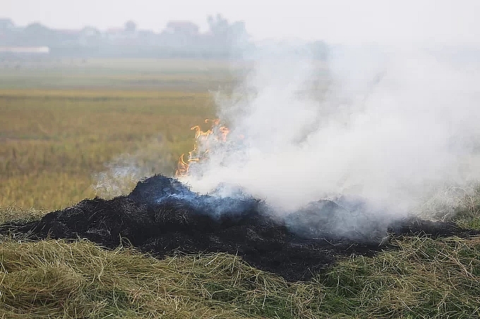 khoi rom ra phu trang cua ngo ha noi