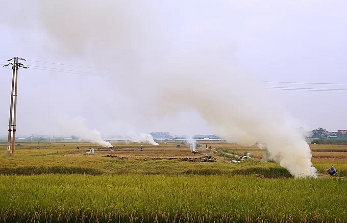 khoi rom ra phu trang cua ngo ha noi