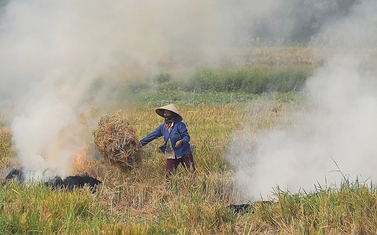 khoi rom ra phu trang cua ngo ha noi