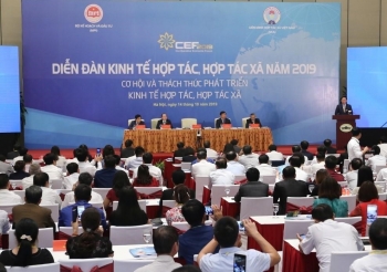 Tổ chức Diễn đàn kinh tế tập thể, hợp tác xã