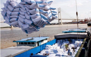 Hỗ trợ doanh nghiệp thúc đẩy xuất khẩu gạo vào EU
