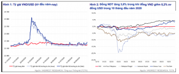 Tiền đồng có thể mạnh lên trong năm 2021
