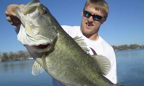 [VIDEO] Tay không câu cá "khủng" trong 8 giây