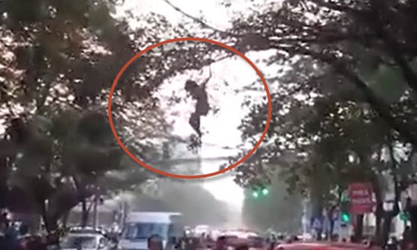[VIDEO] Cô gái đu cây như "người nhện" giữa đường phố Hà Nội