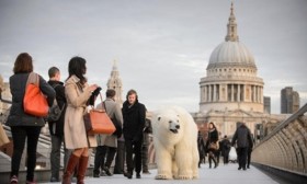 [VIDEO] Gấu bắc cực khổng lồ bất ngờ xuất hiện trên đường phố London