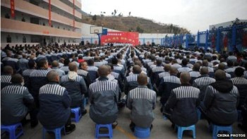 Bí mật về việc Trung Quốc lấy nội tạng tử tù (Bài 3)