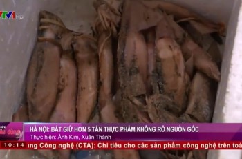 [VIDEO] Bắt giữ 5 tấn cá hồi, cá ngừ... 'cực bẩn' ở Hà Nội