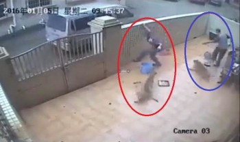 [VIDEO] Hai chú chó bị cẩu tặc trèo tường vào sân bắt trộm