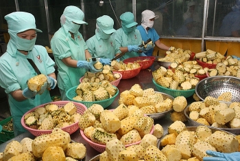 Nông sản Việt chinh phục thị trường thế giới