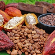 Giá cà phê, cacao giảm trong khi đường tăng giá