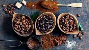 Giá cà phê, cao su, cacao trên thế giới (ngày 11/1) đều giảm mạnh