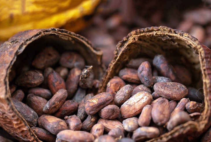 Giá cà phê, đường giảm trong khi cacao, bông tăng