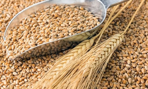 Giá nông sản ngày 5/1: Giá lúa mỳ giảm mạnh nhất trong phiên hôm qua?