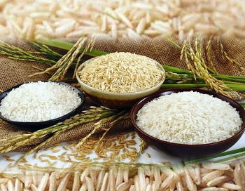 Xuất khẩu gạo Ấn Độ dự báo giảm trong năm 2022