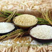 Gạo Việt có giá cao nhất thế giới, xuất khẩu vượt 1 tỷ USD