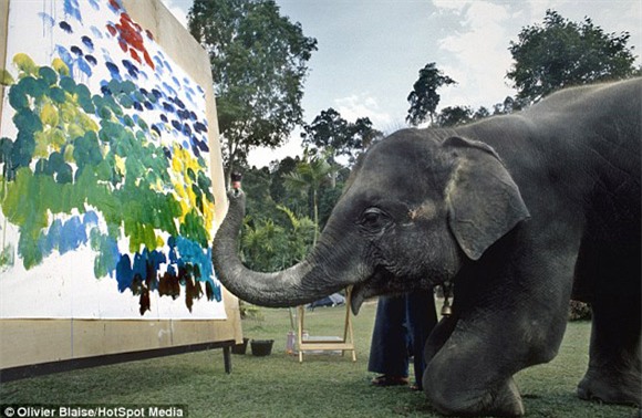 [VIDEO] Cận cảnh chú voi dùng vòi vẽ tranh giá ngàn đô