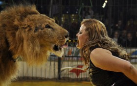 [VIDEO] Thót tim cảnh sư tử bất ngờ vồ lấy nữ huấn luyện viên