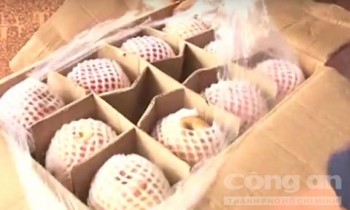Bình Phước tiêu hủy 400kg táo, lê Trung Quốc