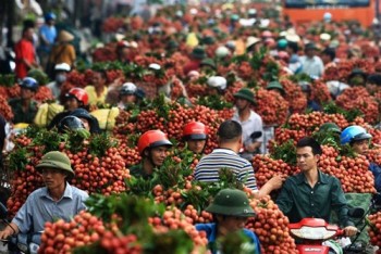 Trung Quốc 'chuẩn bị giúp' hành trang cho Việt Nam vào TPP?