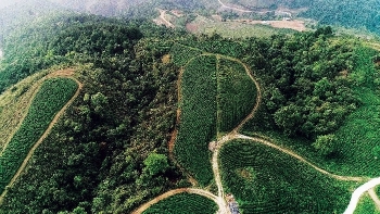 ngay xuan noi chuyen tra