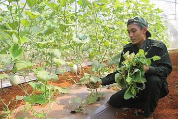 Những thách thức của nông dân Quảng Trị  trong thực hiện công nghệ 4.0