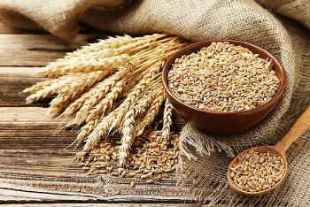 Ukraine: Lũy kế xuất khẩu lúa mỳ kể từ đầu niên vụ hiện đạt 74.3% mức hạn ngạch