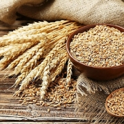 Ukraine: Lũy kế xuất khẩu lúa mỳ kể từ đầu niên vụ hiện đạt 74.3% mức hạn ngạch