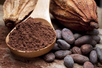 Sắc xanh xuất hiện đối với cà phê, đường, cacao do thiếu hụt nguồn cung