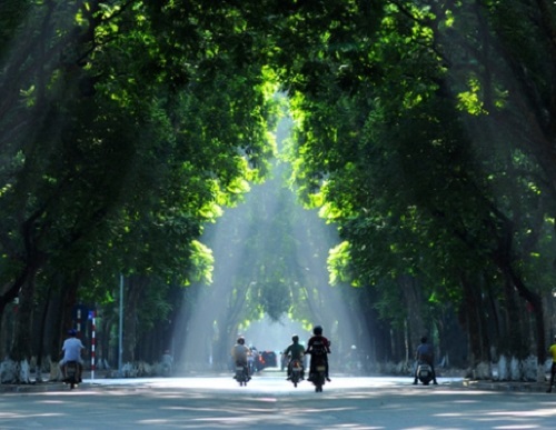 [VIDEO] Hà Nội "năm ấy" đẹp lung linh trong bóng cây xanh