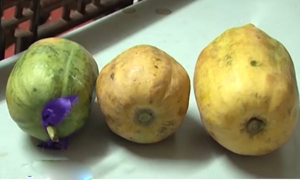 [VIDEO] Rợn người hóa chất làm chín trái cây siêu tốc