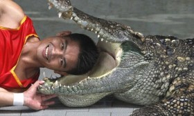 [VIDEO] Cái kết kinh hoàng của chàng trai biểu diễn đưa đầu vào miệng cá sấu