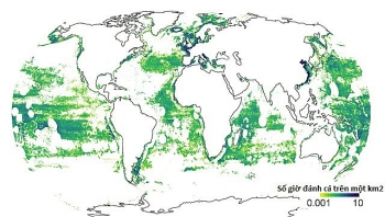 Thấy gì từ bản đồ đánh bắt hải sản thế giới?
