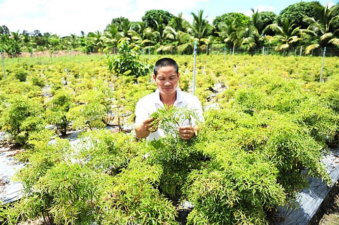 chang ky su cong nghe va giac mo nam duoc