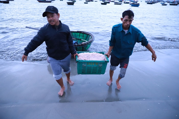 da nang mua ruoc muon